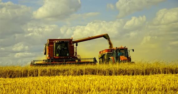 Anfavea:crescem 18% vendas de máquinas agrícolas em 2013