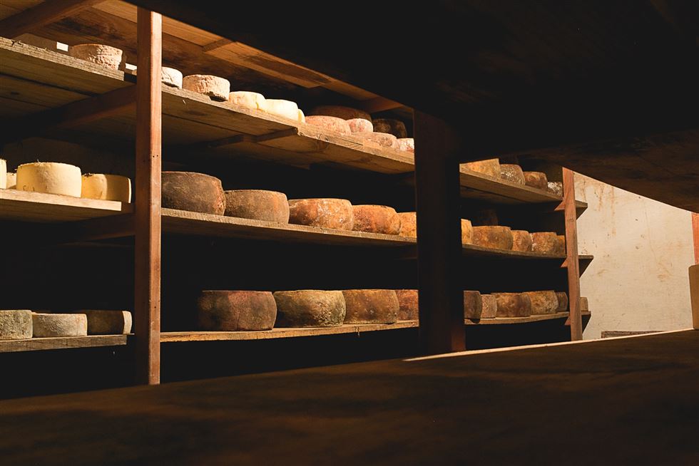 queijos artesanais da Fazenda Atalaia