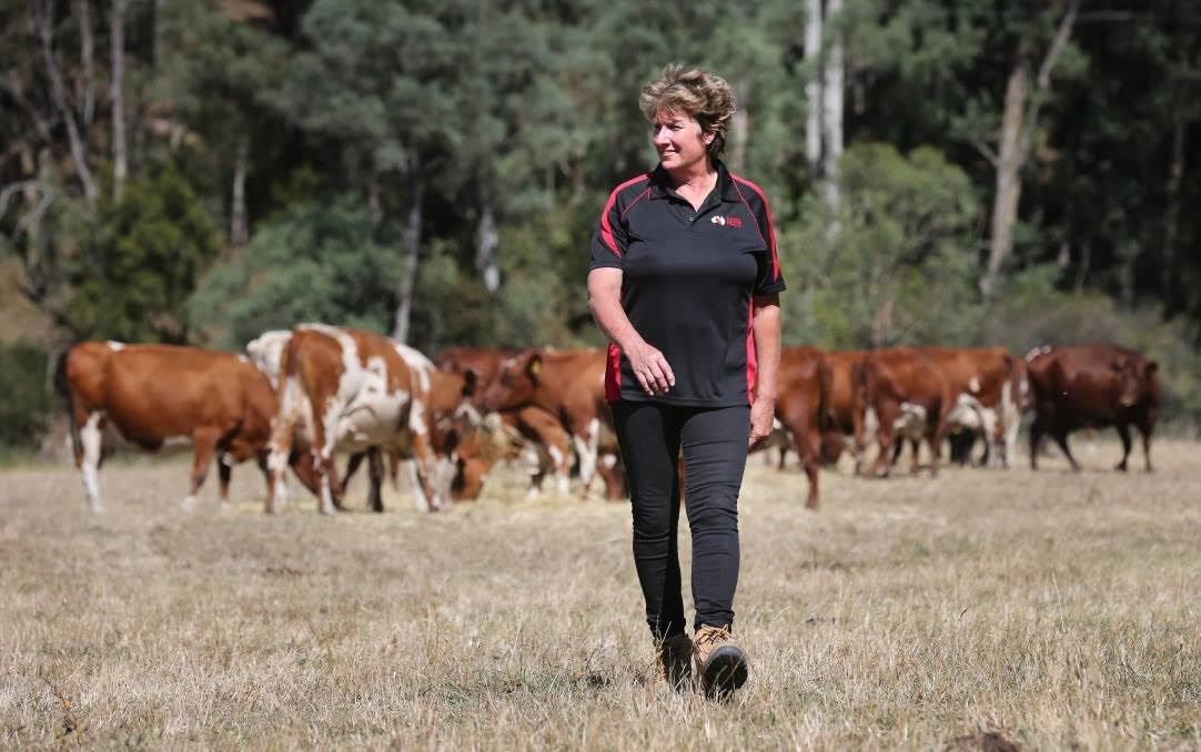 Dairy Australia mira em mulheres australianas em nova campanha on-line