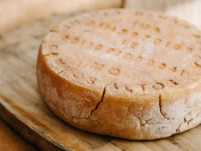 Queijo artesanal em São Paulo