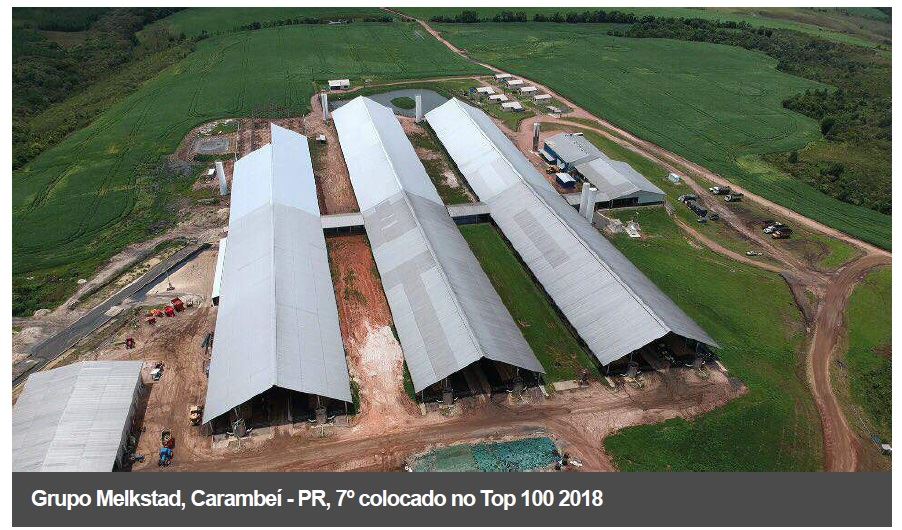 Melkstad - produção de leite