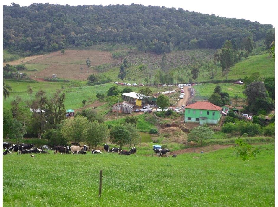 produção de leite em Santa Catarina