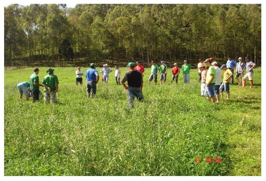 produção de leite em Santa Catarina