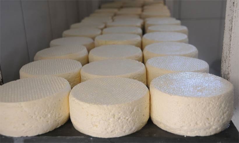 Projeto cria padrões de produção e venda do queijo Minas
