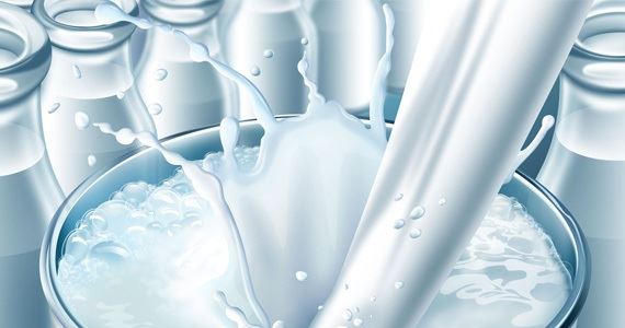 EUA: produção e preços do leite estão em alta