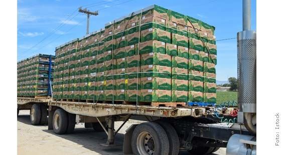 roubo de cargas no Brasil