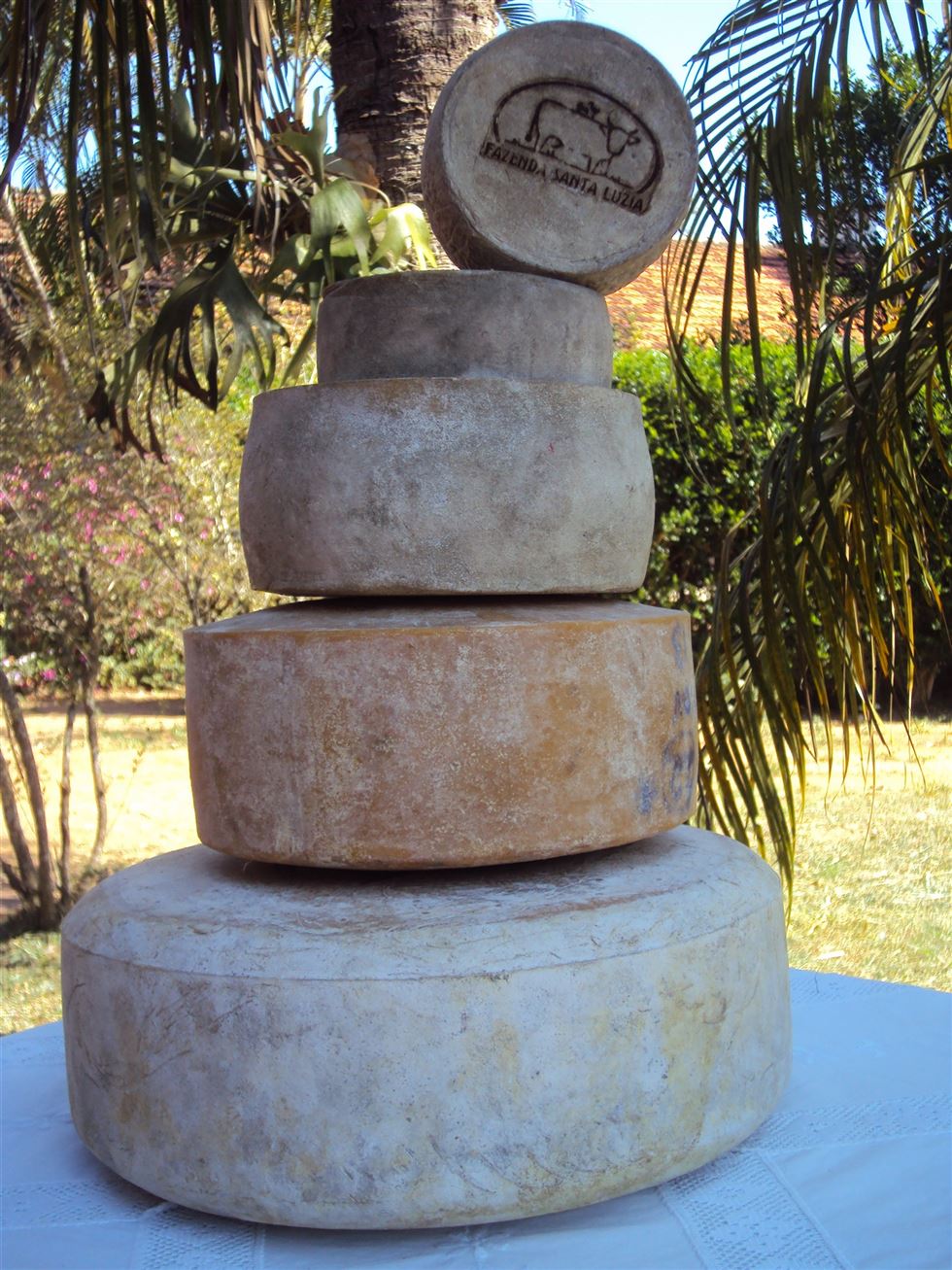 Gado Simental e a produção de queijos artesanais - Fazenda Santa Luzia
