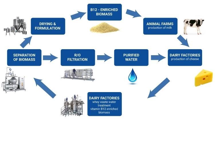 Whey2Value desenvolve tecnologia para transformar subprodutos lácteos em vitamina B12