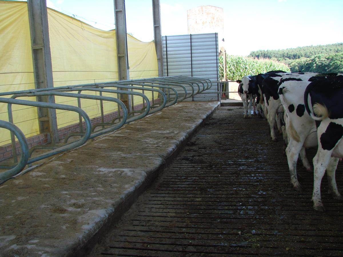 Detalhe do piso ripado e camas com colchões de raspa de borracha cobertos por serragem