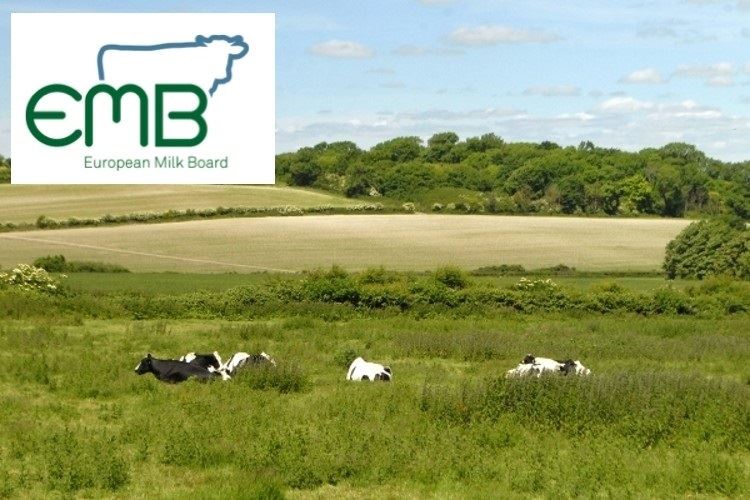 Seca na Europa e as consequências para a produção leiteira