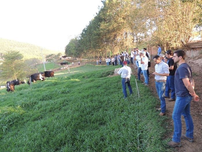 produção de leite orgânico