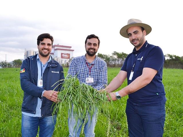 Grupo de Estudo em forrageiras