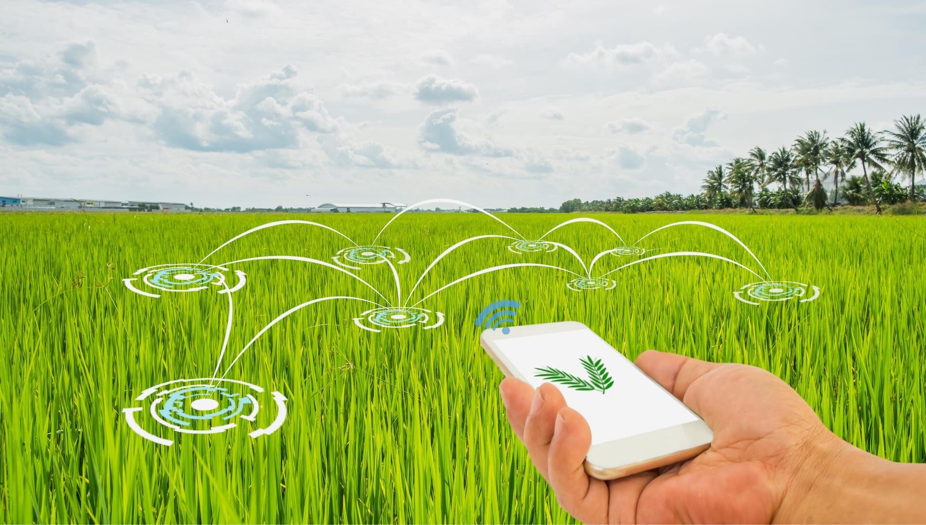 startups no agronegócio