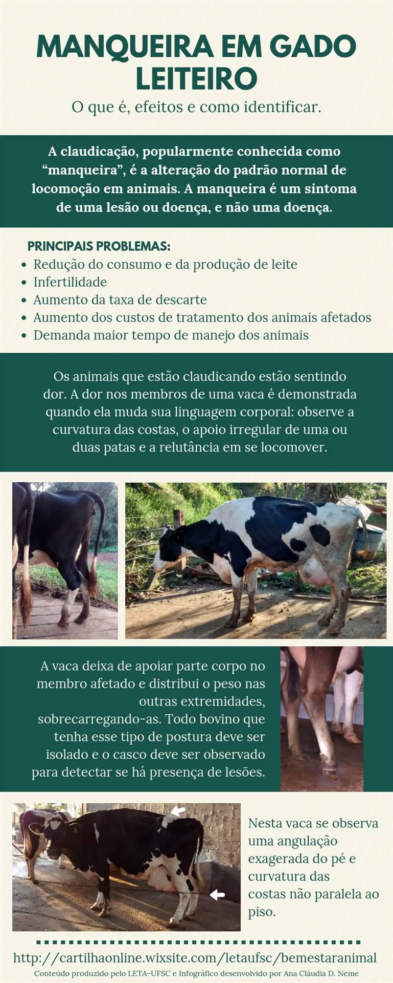 Figura 2
