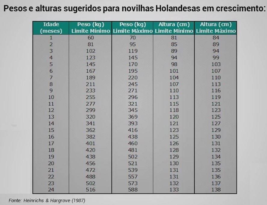 Figura 2