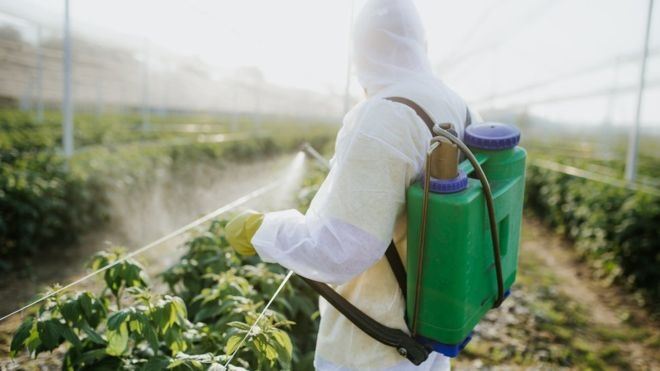 Anvisa propõe manter aval a glifosato, o herbicida mais usado no Brasil