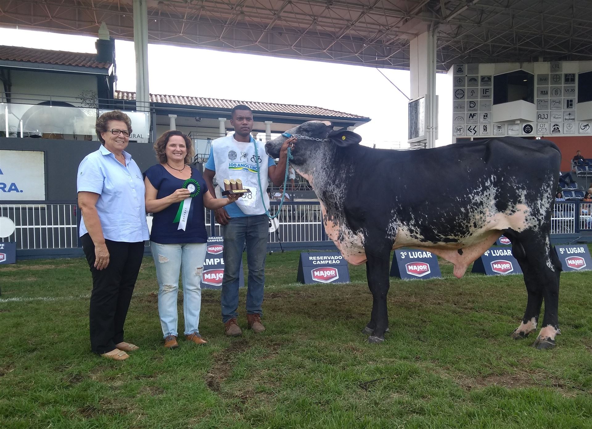 Começa o julgamento de Girolando na ExpoZebu 2019