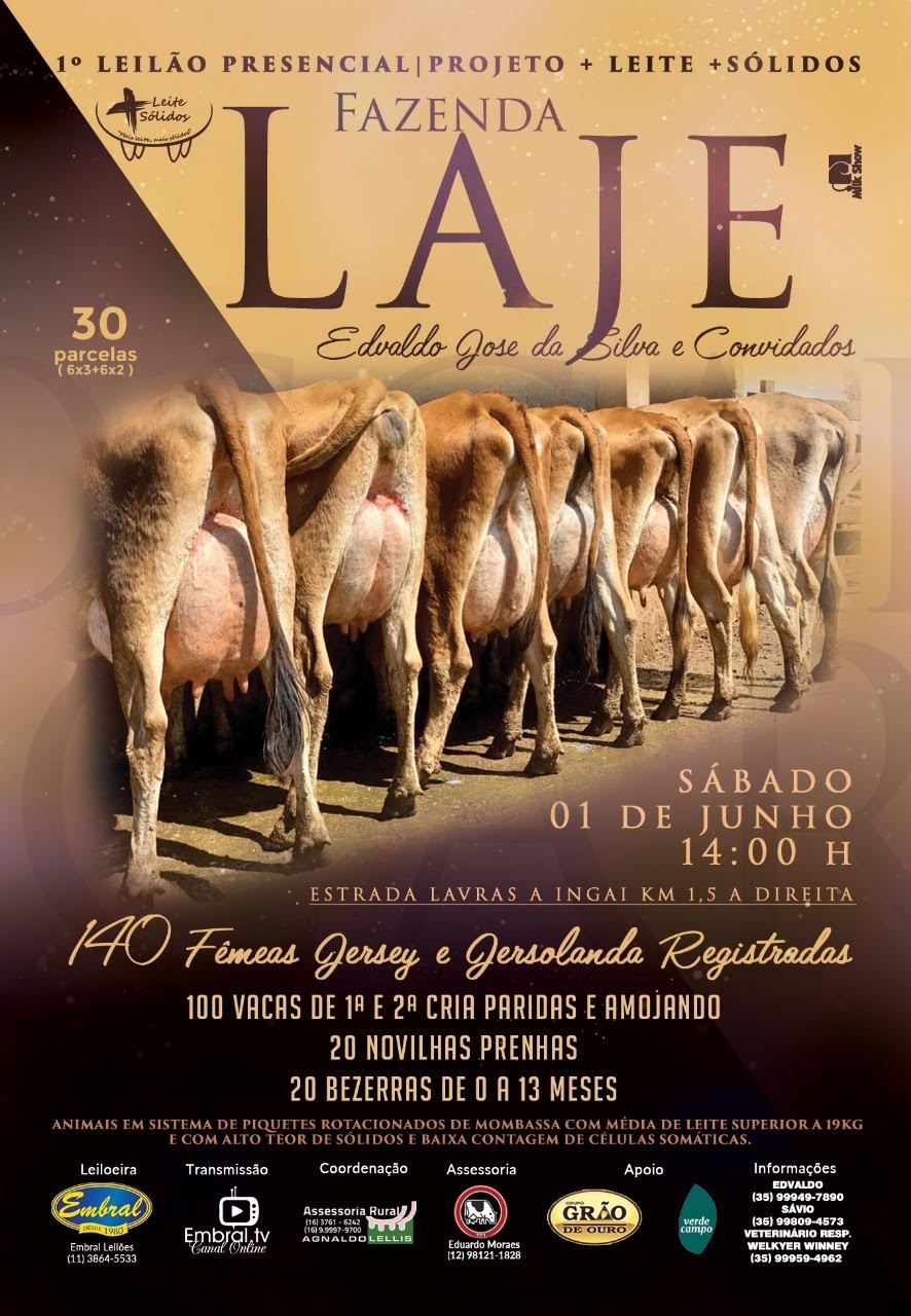 Leilão Verde Campo - Fazenda Laje