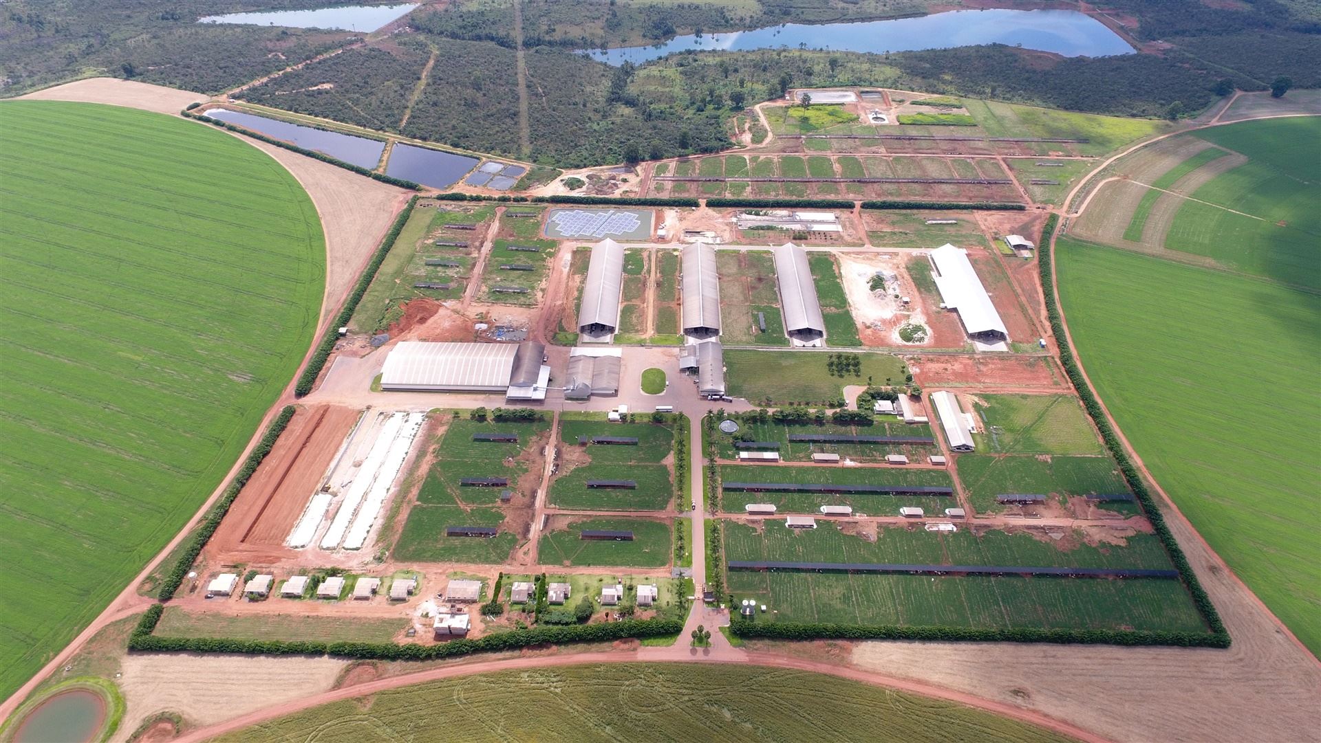 Fazenda Figueiredo - produção de leite em Cristalina/GO