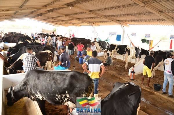 AL: Expo Bacia libera inscrições para Seminário da Cadeia do Leite
