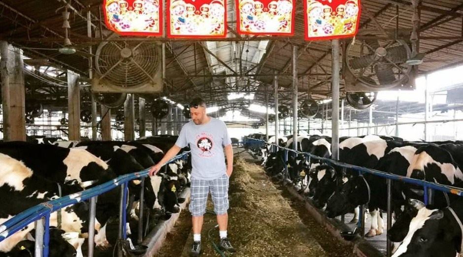 Brasileiros fazem sucesso vendendo queijo brasileiro na China