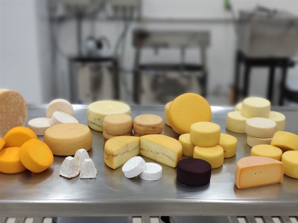 queijos finos Biopark