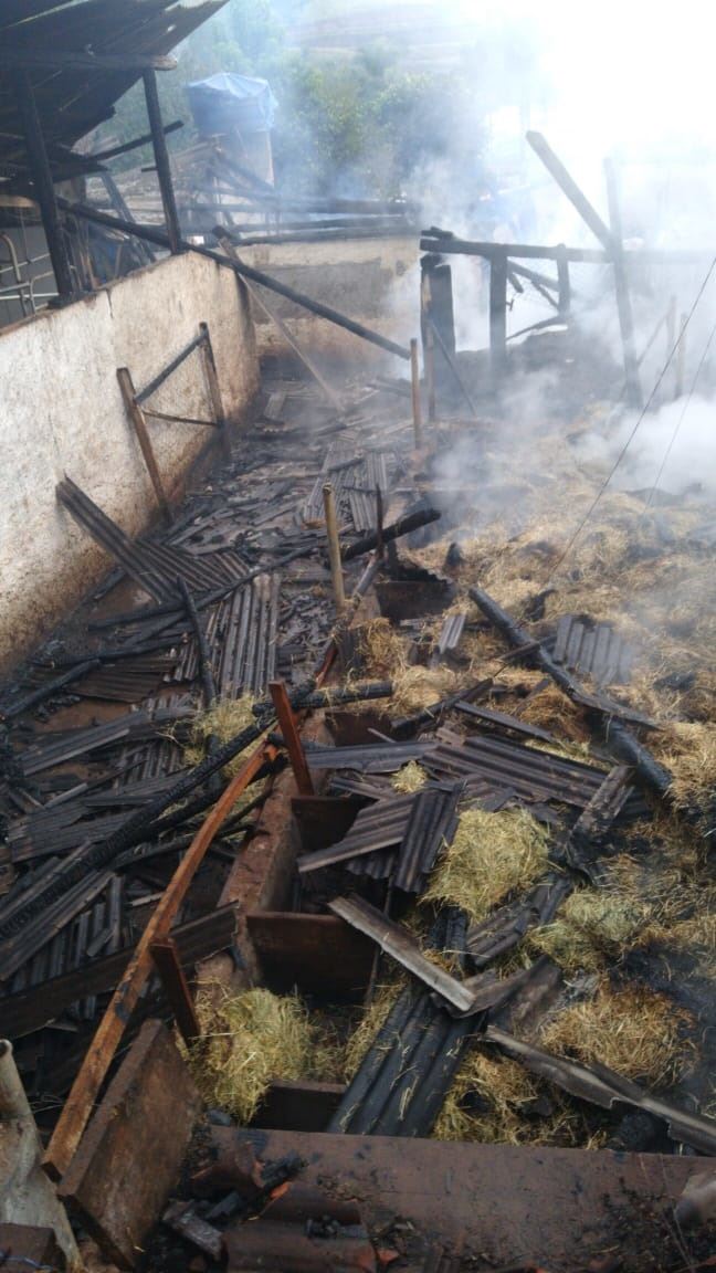incendio produtores de leite