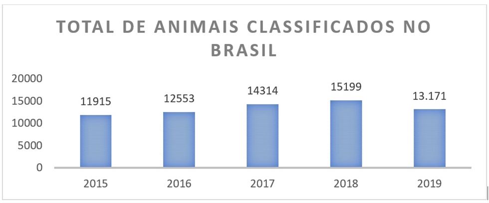numero de animais classificados raça holandesa brasil