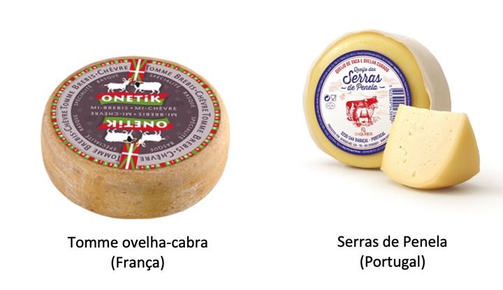 caracteristicas-sensoriais-dos-queijos