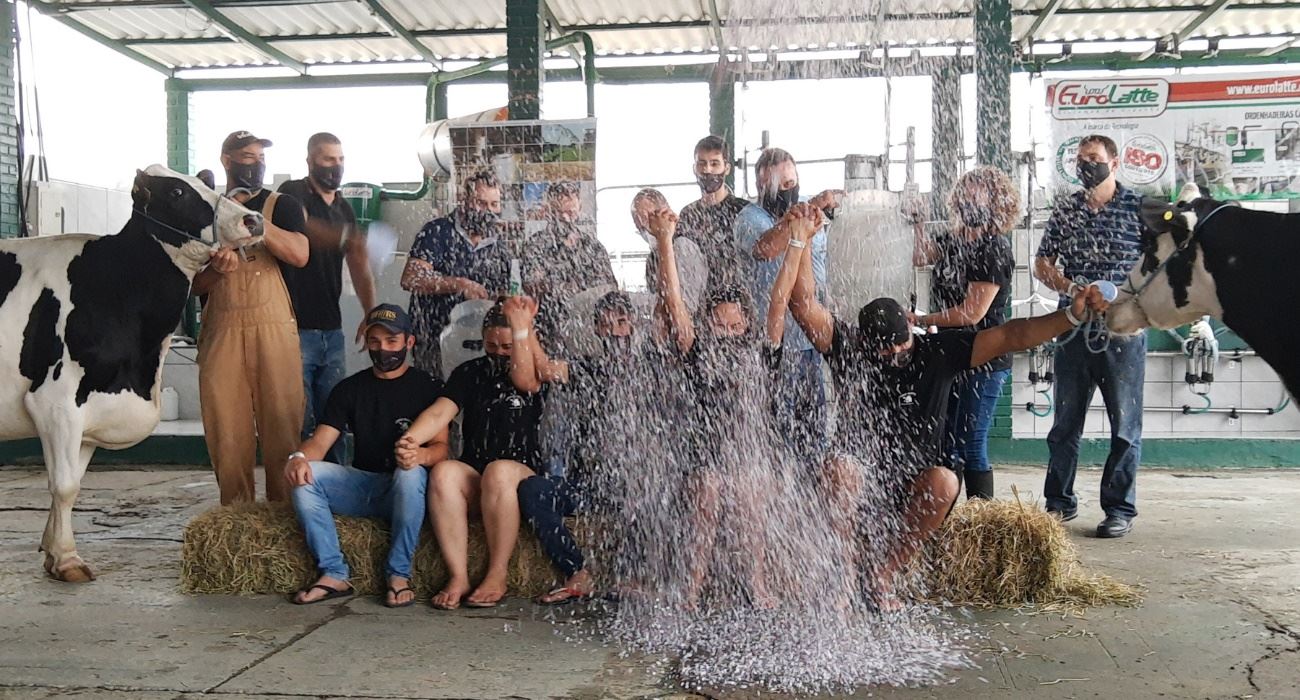 concurso leiteiro raça leiteira