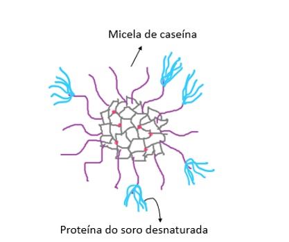 proteínas do soro 