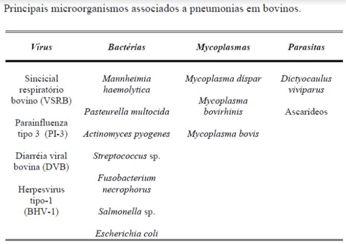 Microorganismos associados a pneumonias em bovinos