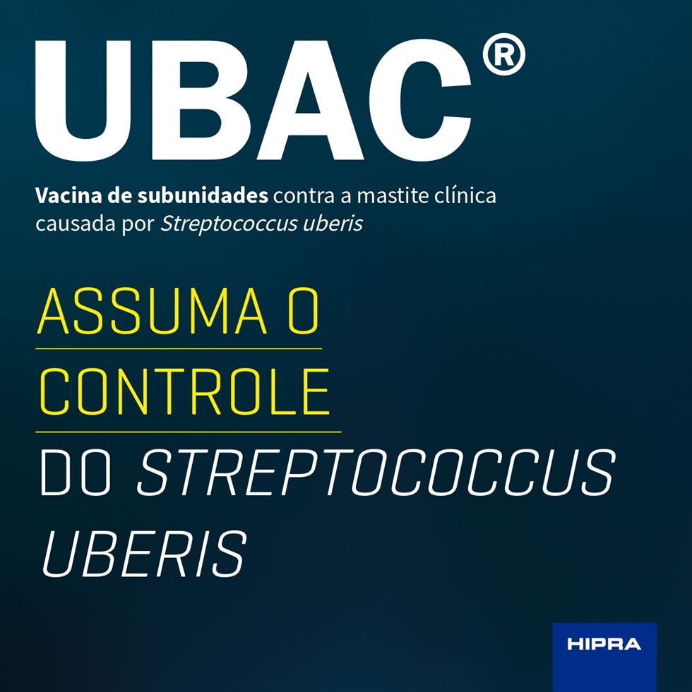Assuma o controle do Streptococcus uberis