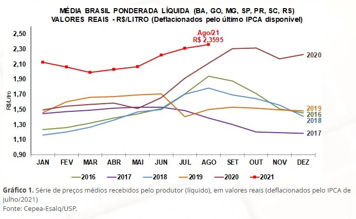 grafico cepea