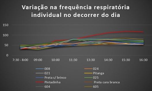 Gráfico da variação da frequência respiratória individual ao decorrer do dia