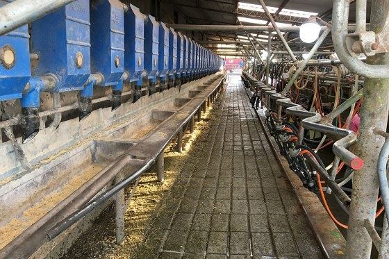 fazenda de leite na argentina