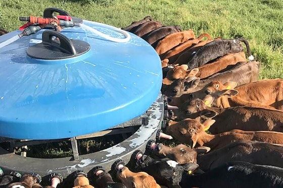 fazenda de leite na argentina