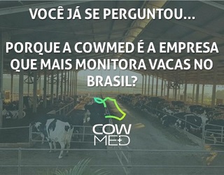Por que a Cowmed é a empresa que mais monitora vacas no Brasil?