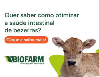 Quer saber como otimizar a saúde intestinal de bezerras ? Clique e Saiba mais - Biofarm
