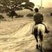 Felipe Fioritti