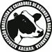 Batalha das vacas: qual raça de leite é mais rentável nos EUA?